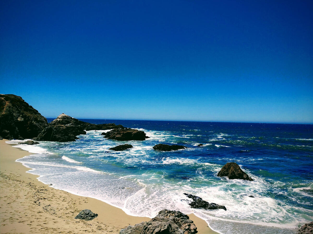 Michael Vollbrecht Visiting Bodega Bay, CA Michael Vollbrecht Visiting Bodega Bay, CA